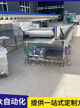 气泡清洗机商用 萝卜根茎草莓瓜果去农残清洗机 莴笋气泡清洗机