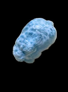 多米尼加海纹石龙龟吊坠拉利玛乌龟锁骨链坠挂件43.1*26.1*19.4mm