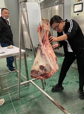 牛霖肉解冻低温冷藏抑菌化冻门店商超冻品缓化设备