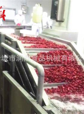 现货供应高压喷淋气泡清洗机蔬菜去农药残留清洗机小白菜清洗机