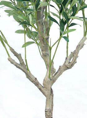 北欧彷真绿色植物假大型装饰摆饰客厅室内盆景彷真植物橄榄树假树