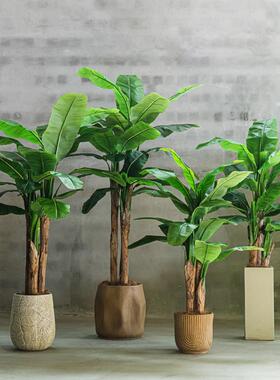 香蕉树大型人造植物高端彷生绿色植物盆栽室内商场橱窗装饰花卉人