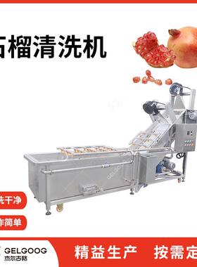 自动洗石榴设备气泡洗果机器石榴汁前处理加工机械石榴清洗机