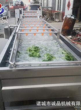 商用大型肉类鸡鸭解冻线大型海鲜鱼类清洗设备全自动婆婆丁清洗机
