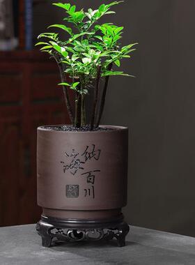 紫砂绿植花盆陶瓷粗陶透气复古老桩兰花植物文竹盆带托盘花器盆栽