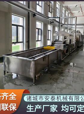 银杏果清洗蒸煮流水线设备 雪里红全自动清洗设备 蕨菜气泡清洗机