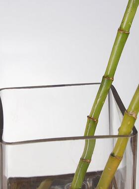 透明方形落地花瓶大方形花瓶号适富贵竹高款玻璃插花瓶人用工吹制