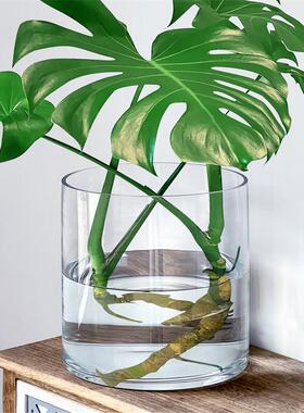 龟背竹花瓶水培器皿玻璃透明大口径宽口特大号超大敞口阔口广口