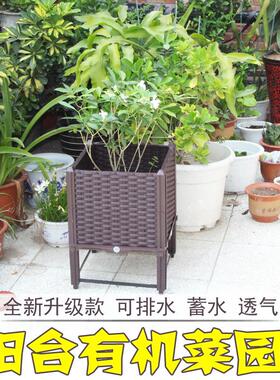 种植箱 自由组合阳台塑料花箱 绿化楼顶温室花盆菜篮支持