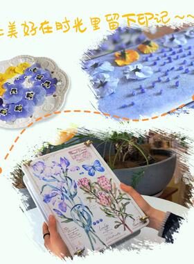 鲜花压花板押花器干燥花制作材料全套书签植物标本手工工具压花器
