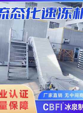 流态化速冻机速冻芒果丁蓝莓等水果大产量500kg每小时厂家机器
