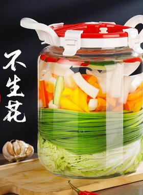 泡菜坛子用腌罐子玻璃加厚菜密大号腌制容器四川家咸封菜801罐酸