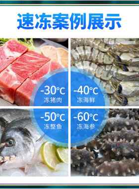 肉类速冻设备氟利昂速冻机海鲜冷冻加工设备面食多功能速冻机