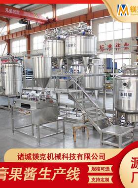 中小型鲜桃汁饮料加工设备 桑葚汁饮料生产线 果汁榨汁浓缩机器