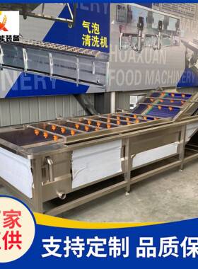 创翔全自动果蔬气泡清洗机 压喷淋洗菜  食品厂净菜加工流水线