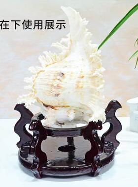 客厅木托盘新款木质底座托架海螺