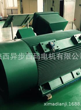 YB2-4004-4 450KW 西玛牌6KV压隔爆型电机 ExdⅡBT4 绝缘H级