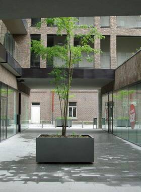 创意树池花箱户外铁艺花盆花钵园林广场道路景观学校锈板树池花箱