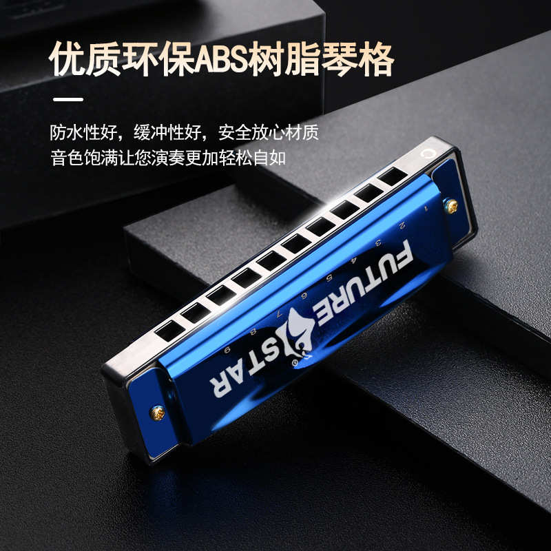 未来星多色可选10孔口琴C调布鲁斯口琴初学演奏十孔口琴Harmonica - 图1