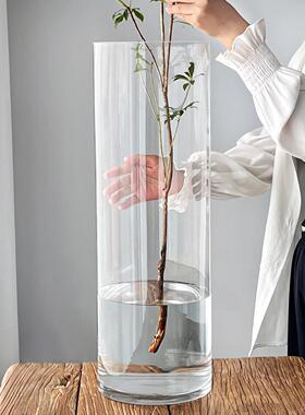 花瓶特大号玻璃家用高款透明富贵竹龙竹大口径宽口大口广口醒花桶