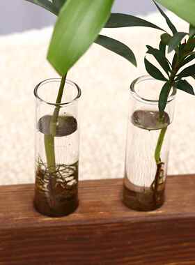 玻璃水培试管插花器复古透明桌面小花瓶木艺水养绿萝植物花盆摆件