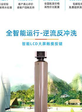跨境源头工厂304不锈钢中央净水机活性炭水处理过滤家用商用