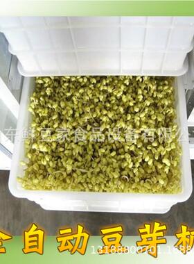 200斤豆芽机全自动多功能豆芽机生豆芽的机器厂家现货供应
