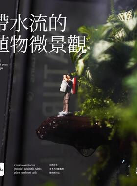 BANSHAN小森林流水桌面植物雨林缸家居网红小众定制摆件解压送礼