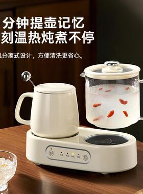 双养生壶多功能家用办公室煮茶器小型玻璃花茶迷你恒温水杯送礼物