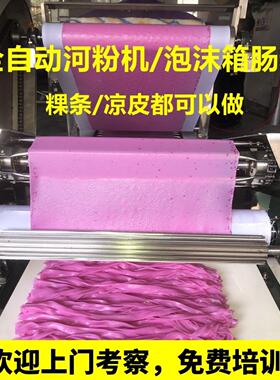 全自动河粉机布拉泡沫箱肠粉机广东恩平老友粉切粉小型粿条凉皮