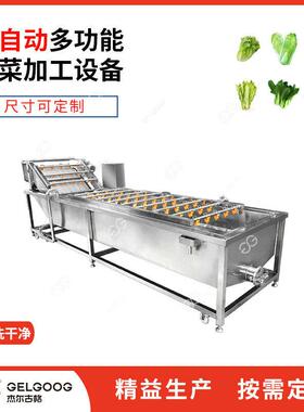 气泡喷淋净菜加工机器 自动洗荠荠菜蔬菜生产线机械 茼蒿清洗设备