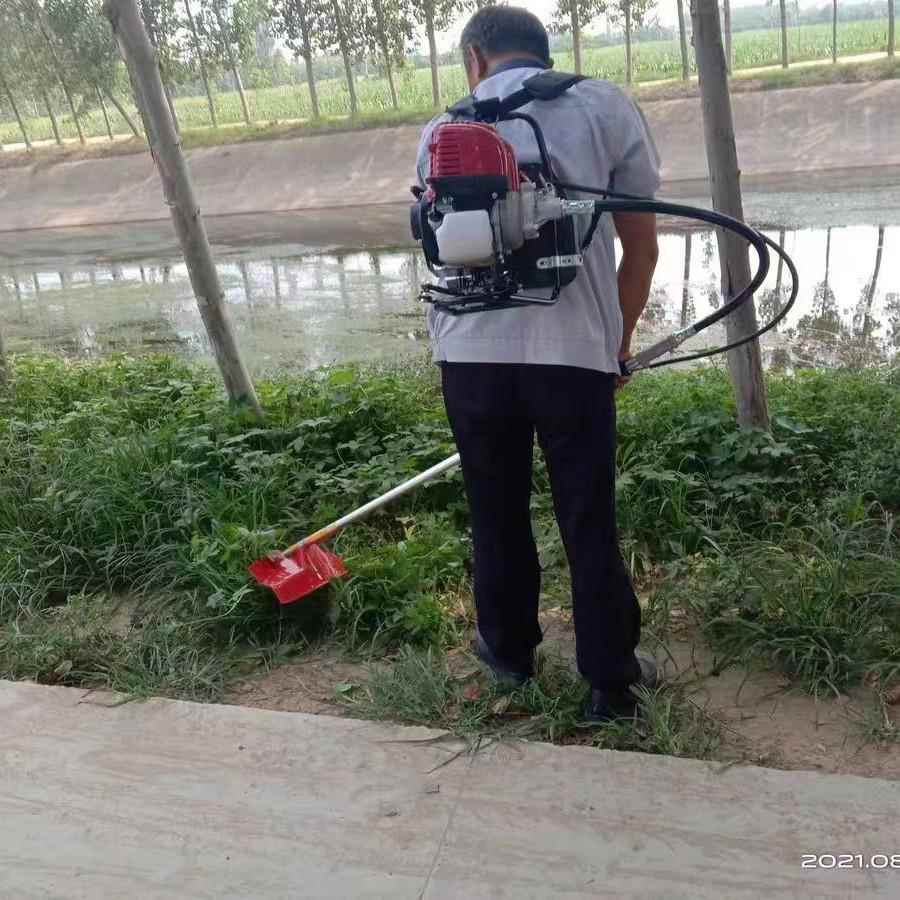 跨境德用国割草AKT机油背负机式四冲程小型多功能农打锄草家汽用 - 图0