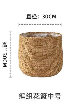 天堂鸟北欧草编编织编织花篮花瓶
