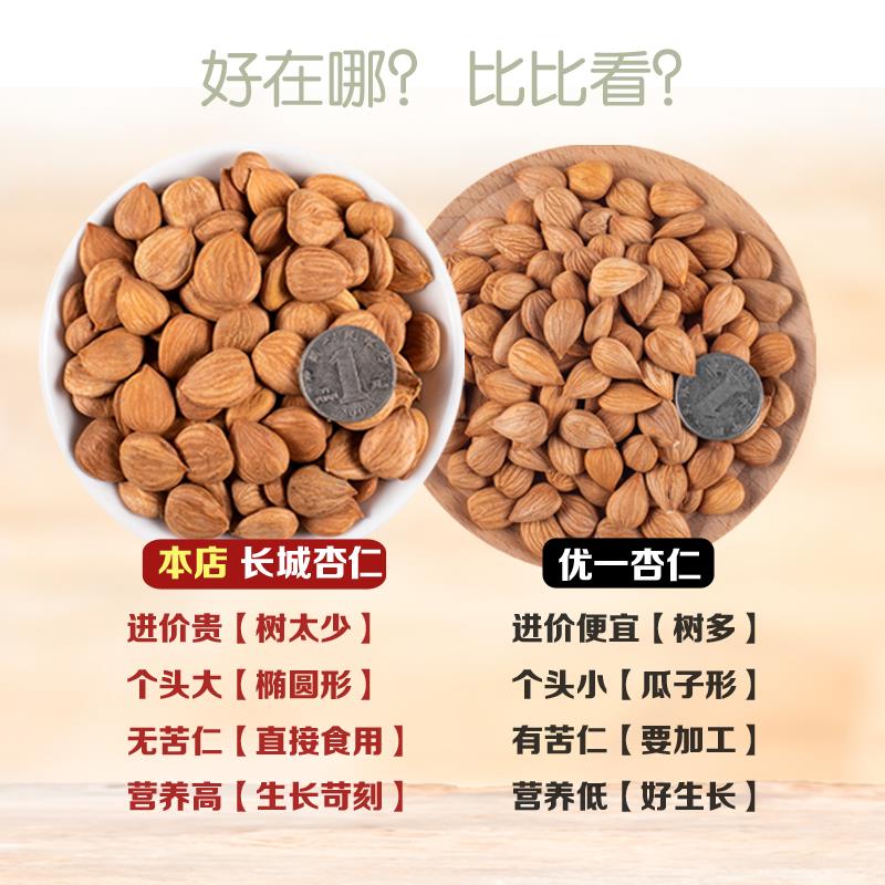 承德特产甜杏仁生的原味熟南杏仁干果食用大杏仁散装坚果新鲜500g-图1