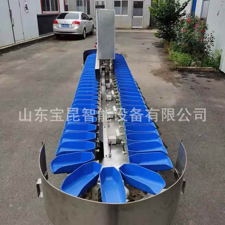 鲅鱼黄鱼重量选别机火龙果猕猴桃重量分选机鸡腿禽类称重分级机 - 图0