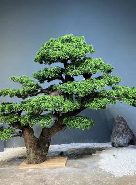 仿真迎客松树皮松树仿真罗汉松新中式假树装饰枯山水造景景观摆件