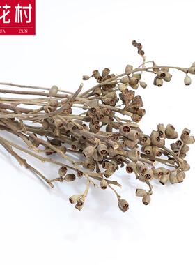 新款直销冷色系干花僵尸果 云南干花枝条 文艺家庭装饰花材