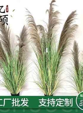 仿真内天然芦苇盆栽室造窗景装饰狗秋色尾草盆景橱005道具植物花