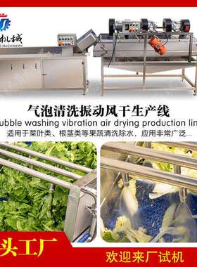 菜叶类清洗风干线 水果瓜类清洗 压喷淋输送带  加工生产线