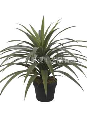 仿真室绿盆栽龙须草客厅001卧装饰小型植饰物装饰品摆件植植物品