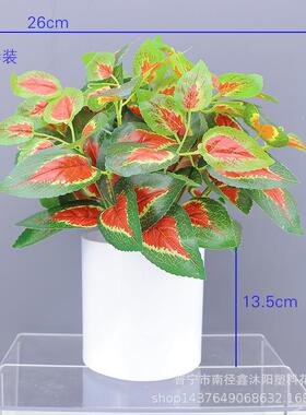 假花绿萝盆栽摆件绿植物装饰室内客厅花艺盆景假绿萝仿真盆栽摆设