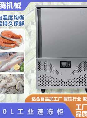 零下45度工业级鲍鱼海参肉食排骨冷冻柜金枪三文鱼海虾急冻速冻柜