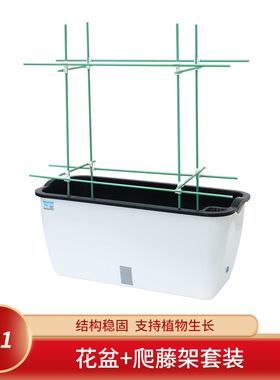 吸水花盆家庭阳台种菜盆专用箱水培蔬菜种植箱菜架子塑料懒人花箱