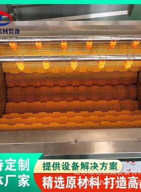 绿驰毛刷清洗去皮机海蛎子自动清洗净壳机海产品海带鱼刷鳞机