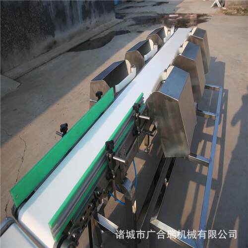 厂家供应重量分选机 海参鲍鱼海蛎子料盒重量分选设备 蛋黄分拣机 - 图2