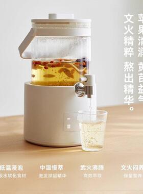 olayks立时全玻璃养生壶家用新款煮茶器烧水壶花茶桶AI
