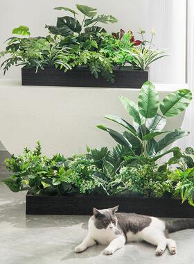 造景公组大合植物落盆栽客厅大型绿植室内地号花盆办室四季常花箱
