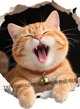 犯困的橘猫贴纸3d视觉自粘墙贴遮丑卧室自粘门贴可爱小猫防水贴画