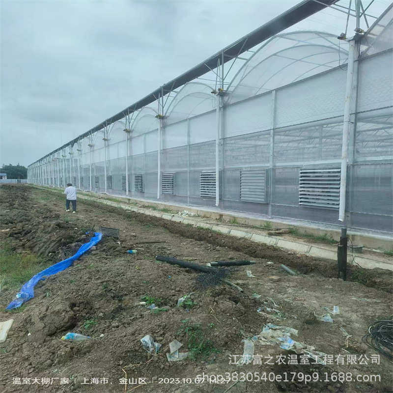 厂家上门安装连栋薄膜温室大棚 双拱双膜拱棚 智能育苗温室大棚,淘宝优惠券,粉丝福利购,淘宝优惠卷
