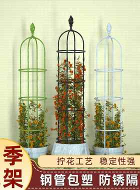 月季花架爬藤架铁线莲架子园艺支架玫瑰藤架花爬架植物攀爬支撑架